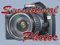 Beyond Photography, the Art of Memories